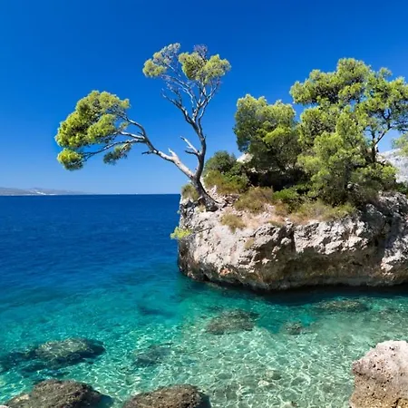 In With A Sea View, Terrace, Air Conditioning, Wifi 201-8 *